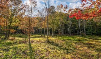 Woodland Hills Road, Andes, NY 13731