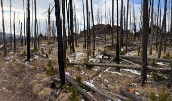 2025 Granite Rd, Bellvue, CO 80512