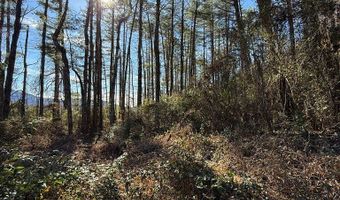 00 Airport Rd, Andrews, NC 28901