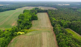 38125 LOUIS THOMAS Rd, Avenue, MD 20609