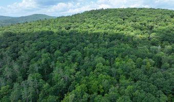 Denio Road, Barnet, VT 05821