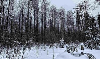 15865 THRASHER Rd, Alvin, WI 54542