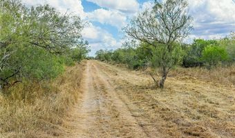 1121 County Road 481, Alice, TX 78332