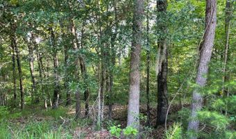 106 B Calico Ct, Alberta, AL 36720