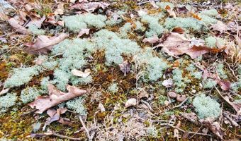 4775 S 50th Rd, Aldrich, MO 65601