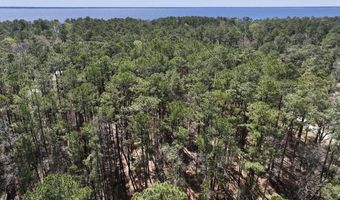 0 Lot 1 Creek Place Rd, Arapahoe, NC 28510