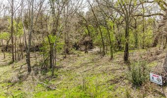 Lot 8 Ranches at Comanche Point, Hico, TX 76457
