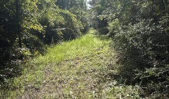 259 Forest Lake Rd, Beaumont, MS 39423