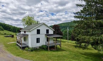 240 Dowie Rd, Andes, NY 13731
