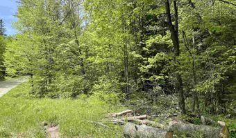 Marshall Newland Road, Burke, VT 05832