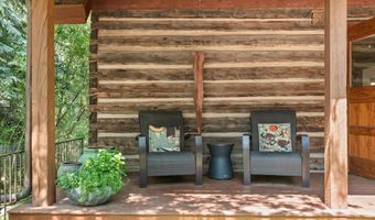 117 Neale Ave, Aspen, CO 81611