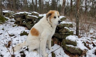 4775 S 50th Rd, Aldrich, MO 65601