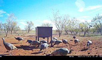 TBD East Tract County Road 356, Anson, TX 79501