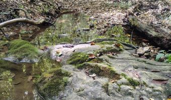 Farm Road 1245, Aurora, MO 65605