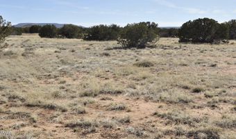 12 County Rd N8543, Concho, AZ 85924