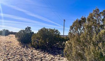 Tbd County Rd 5168 Sloan, Concho, AZ 85924