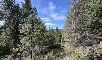 203 Richardsons Ridge Rd, Careywood, ID 83809