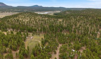 County Rd 2121, Alpine, AZ 85920