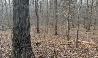 PAYNES POND RD, Arvonia, VA 23004
