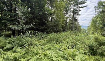 1386 Clif Reynolds Rd, Cambridge, VT 05444