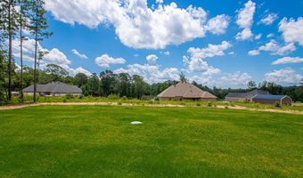 216 Middleton Pl, Benton, AR 72019