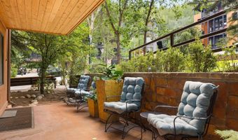 747 S Galena St 230 & 330, Aspen, CO 81611