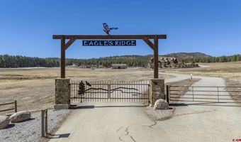 567 Bald Eagle Rd, Bayfield, CO 81122
