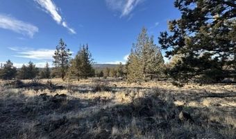 Canvasback Drive, Bonanza, OR 97623