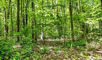2905 N Lake Pleasant Rd, Arcadia, MI 48412