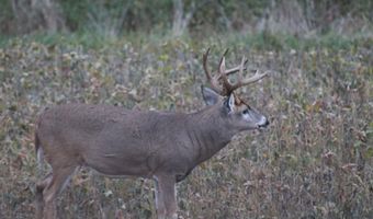 189 Th St, Albia, IA 52531