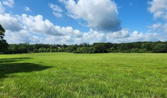3350 SE Mount Pleasant Ln, Bogue Chitto, MS 39629