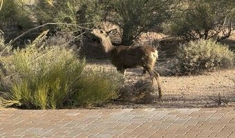 9446 E ROMPING Rd, Carefree, AZ 85377