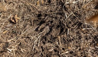 0 Thomas Rd, Altoona, KS 66710