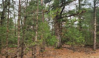 Dyke Avenue lot 8, Adams, WI 53910