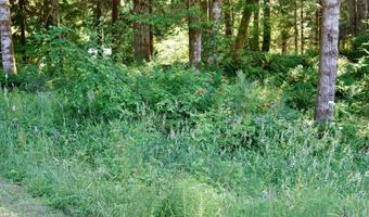 9965 BEACH Dr, Birkenfeld, OR 97016