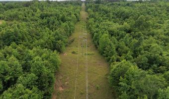 CR 5156, Booneville, MS 38829