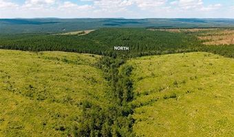 N 4295 Road, Antlers, OK 74567