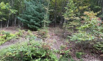 1029 Chippawa Dr 67, Arden, NC 28704