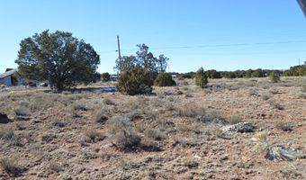 Weagley Road lot 5, Bluewater, NM 87323