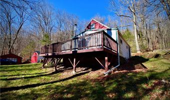 339 Mountain Lake Rd, Andes, NY 13731