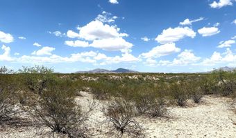 4 45 Ac E Horizon View Trl 20, Benson, AZ 85602