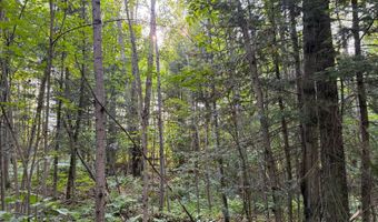 County Road Y, Aniwa, WI 54408