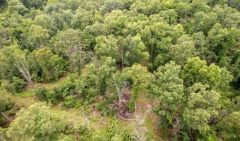14 5 Neil Robinson Rd, Anderson, MO 64831