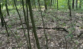 V/L 108TH AVENUE, Allegan, MI 49010