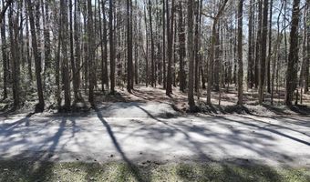 0 Lot 1 Creek Place Rd, Arapahoe, NC 28510