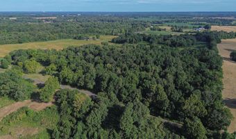 224 County Road 1003, Bardwell, KY 42023