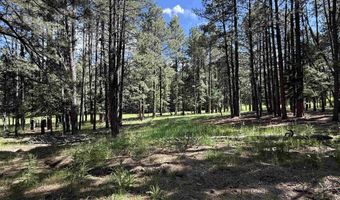 Lot 940 White Sands Circle, Angel Fire, NM 87710