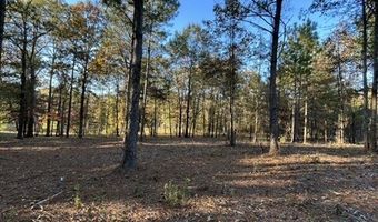 2423 Mill Creek Rd, Bethune, SC 29009