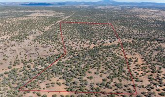 0 Parcel 100 Juniperwood Rnch, Ash Fork, AZ 86320