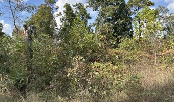 Hc 73 Box 4925 Track 20, Ava, MO 65608